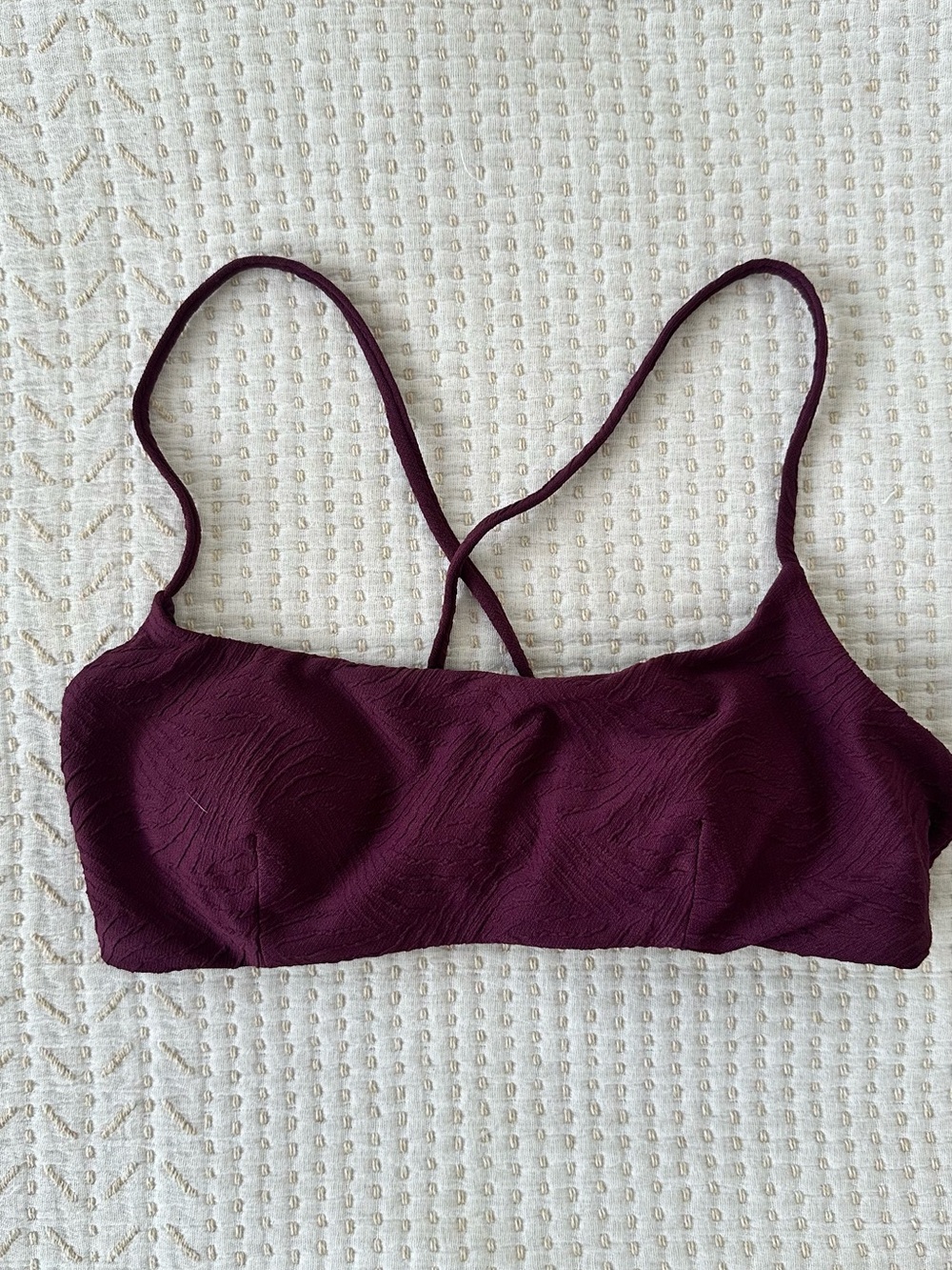 Andie Deep Plum Bikini